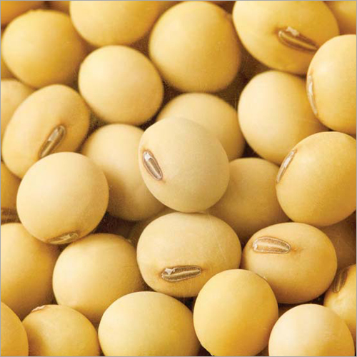 Soybean Seeds