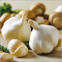 White Garlic
