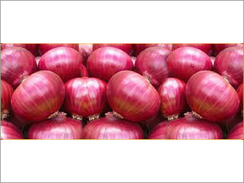 Pure Onion