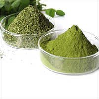 Moringa Seeds Powder