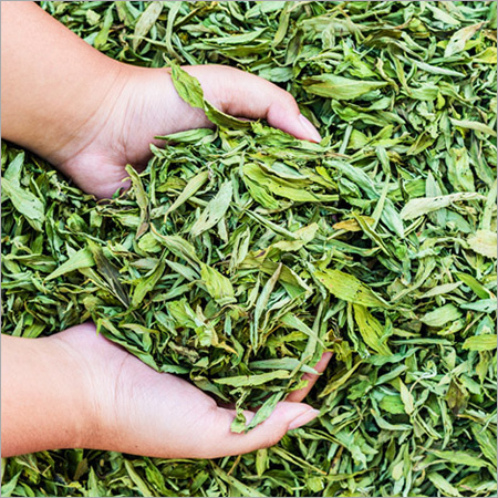 Dried Stevia Leaves