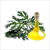 Worm Seed Oil