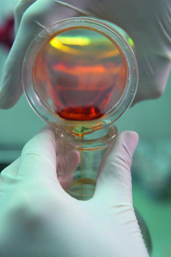 Epoxy Resin