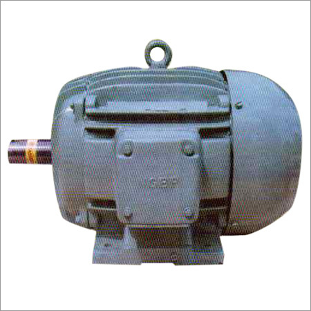 Squirrel Cage Motor