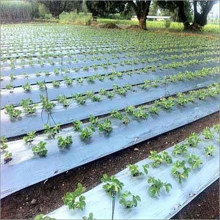 Mulching Film