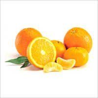 Orange Oil Age Group: Adults