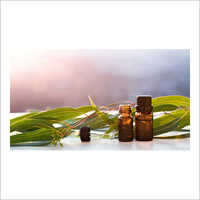 Eucalyptus Citriodora Oil
