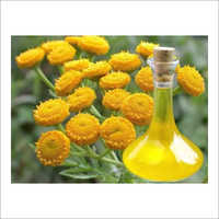 Tansy Oil