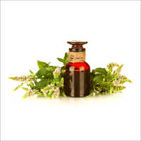 Tea Tree Oil