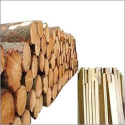 Timber Wood Logs