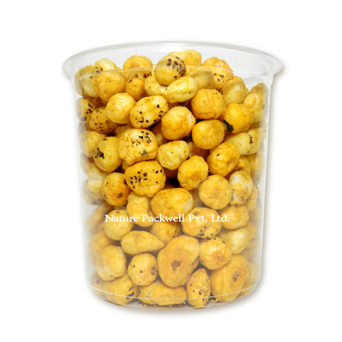 Disposable Container