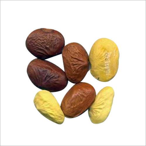 Akota Seeds