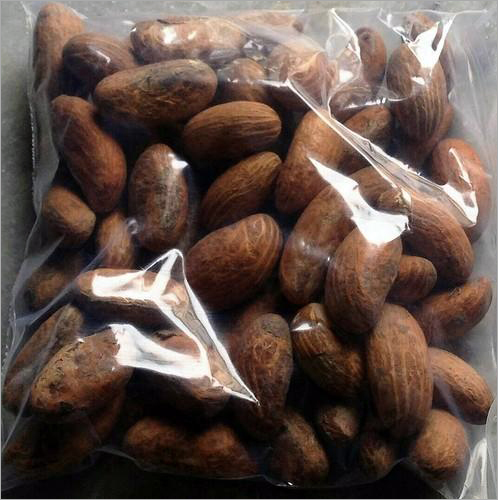 Nkkume Seeds