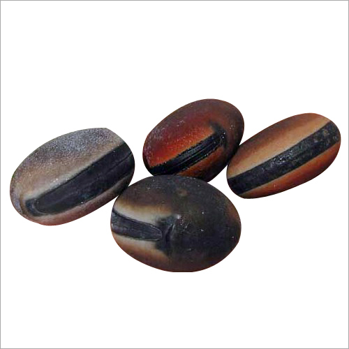 Ojitra Seeds