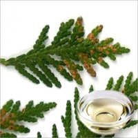 Cedar Leaf Floral Water
