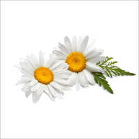 Chamomile Blue Floral Water