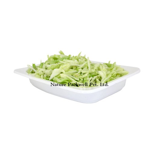 Rectangular container