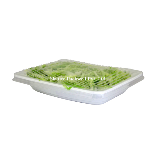 Rectangular container