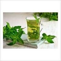 Basil Oil