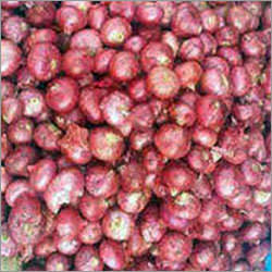 Fresh Red Onions