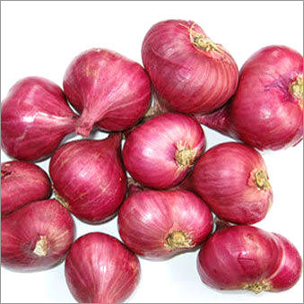Fresh Onion