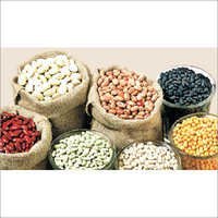 Organic Lentils