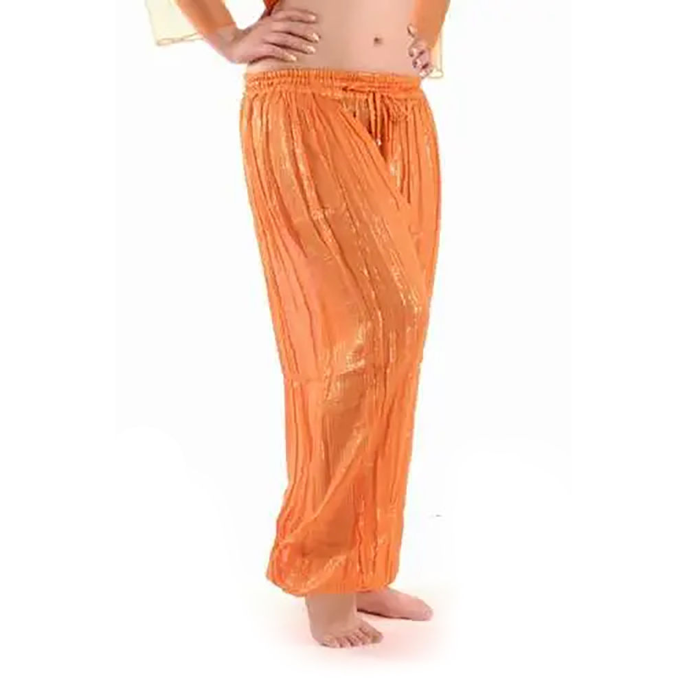 Buy VRITRAZ Chiffon Harem Pants and Hip Scarf With Golden Coins for Belly  Dance Black at Amazonin