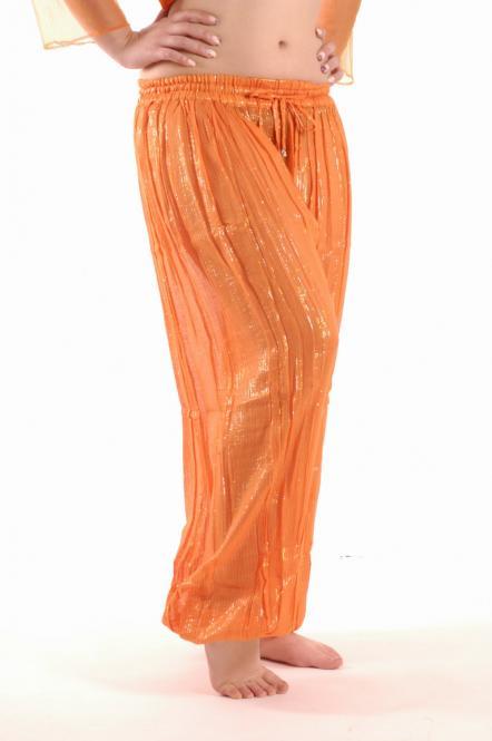 Belly Dance Harem Pant & Top