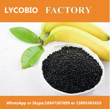 AGRICULTURE BLACK UREA WITH HUMIC BEST SOIL CONDITIONER