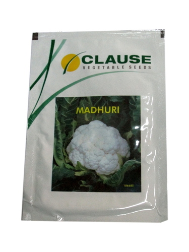 Clause Vegetable Seeds
