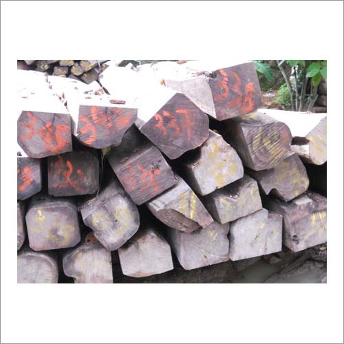 African Teak - Ghana Teak