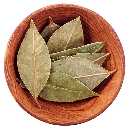Bay Leaf