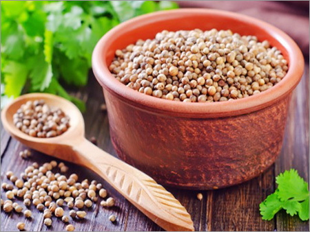 Coriander Seeds
