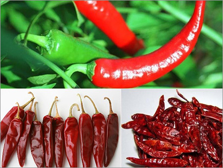 Red Chili's