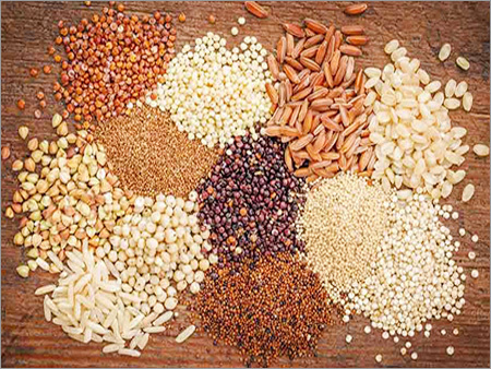White Millet