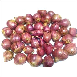 Red Onion