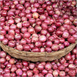 Brown Onion