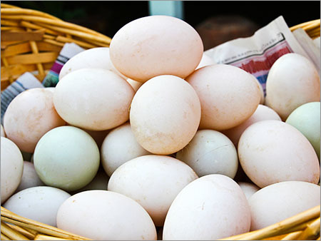 Baby Duck Eggs