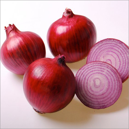 Onion