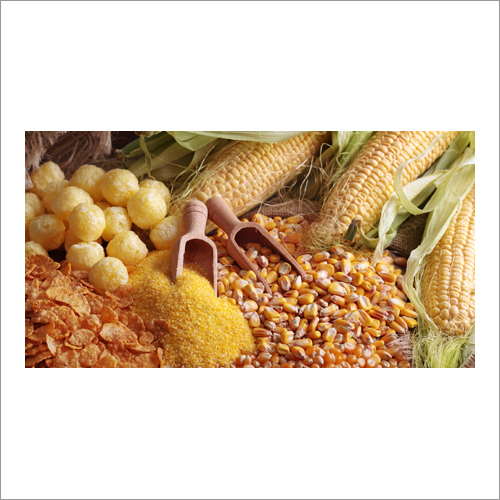 Maize