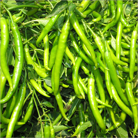 Green Chilli
