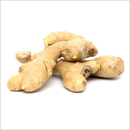 Ginger