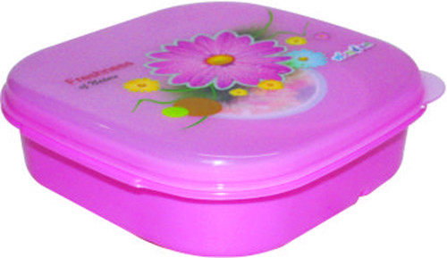 PLASTIC POUCH LUNCH BOX