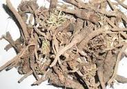 Anacylus Pyretrhrum Root