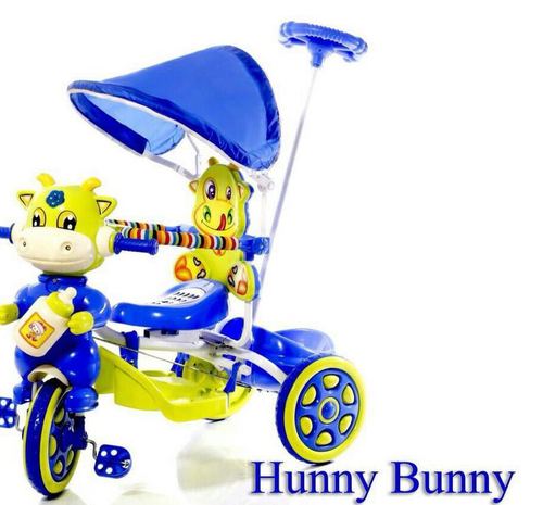 Hunny Bunny Baby Cycle