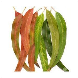 Aromablendz Steam Oils