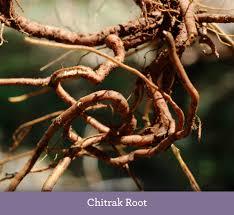 Chitrak