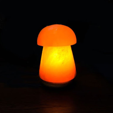 Mushroom Salt Lamp