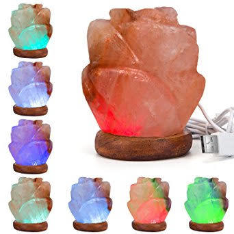 Rose Salt Lamp