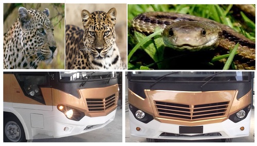 G-Sharp Modle luxury buses